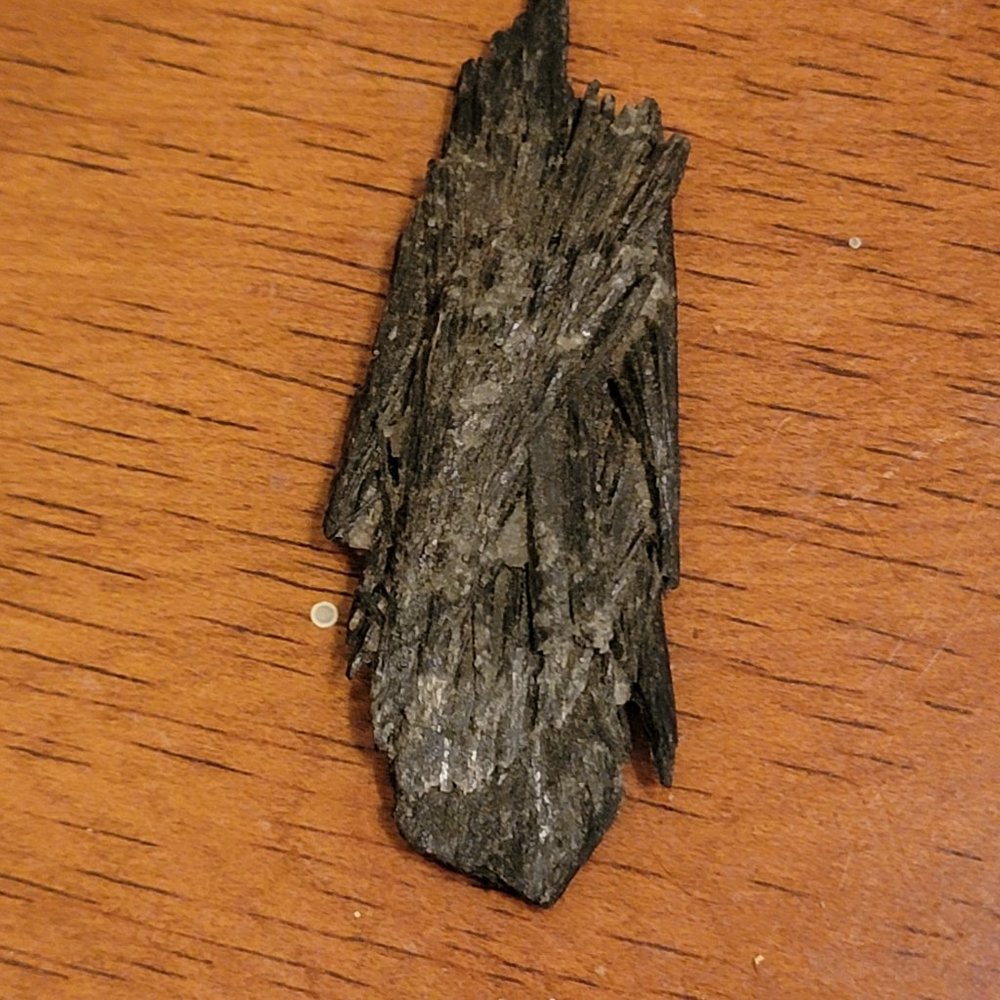 Black Kyanite Blade Crystal